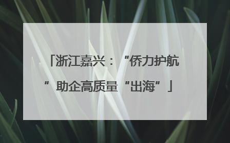 浙江嘉兴：“侨力护航”助企高质量“出海”