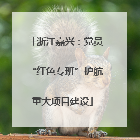 浙江嘉兴：党员“红色专班”护航重大项目建设