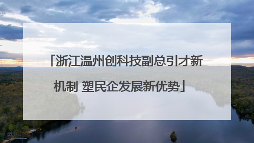 浙江温州创科技副总引才新机制 塑民企发展新优势