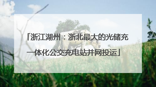 浙江湖州：浙北最大的光储充一体化公交充电站并网投运