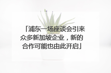 浦东一场座谈会引来众多新加坡企业，新的合作可能也由此开启