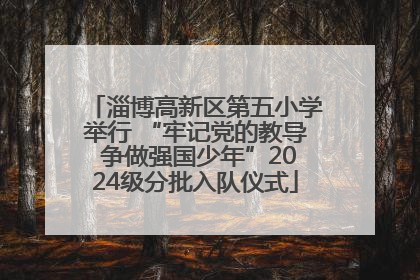 淄博高新区第五小学举行 “牢记党的教导 争做强国少年”2024级分批入队仪式