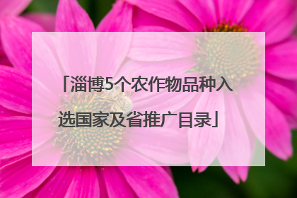 淄博5个农作物品种入选国家及省推广目录
