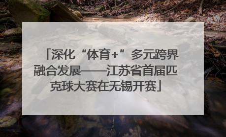 深化“体育+”多元跨界融合发展——江苏省首届匹克球大赛在无锡开赛