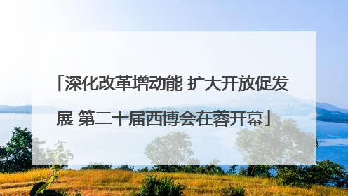 深化改革增动能 扩大开放促发展 第二十届西博会在蓉开幕