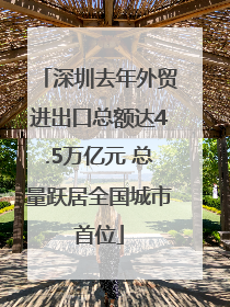 深圳去年外贸进出口总额达4.5万亿元 总量跃居全国城市首位