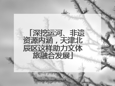深挖运河、非遗资源内涵，天津北辰区这样助力文体旅融合发展