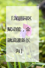 深耕园区赋动能，金融滴灌新长海