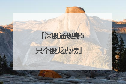 深股通现身5只个股龙虎榜