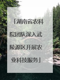 湖南省农科院团队深入武陵源区开展农业科技服务