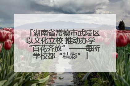 湖南省常德市武陵区以文化立校 推动办学“百花齐放”——每所学校都“精彩”