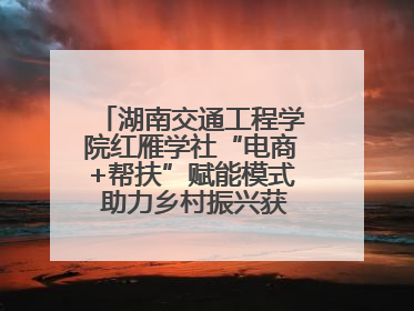 湖南交通工程学院红雁学社“电商+帮扶”赋能模式 助力乡村振兴获帮扶乡镇好评