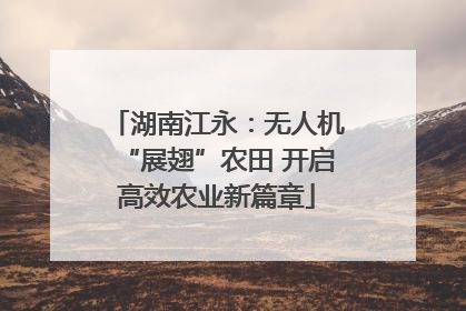 湖南江永：无人机“展翅”农田 开启高效农业新篇章