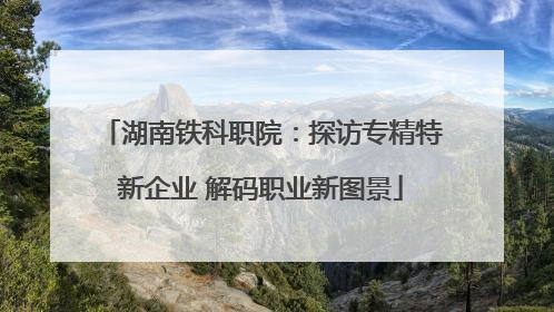 湖南铁科职院：探访专精特新企业 解码职业新图景