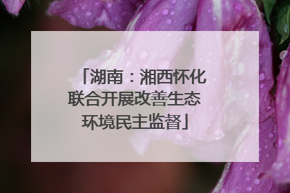 湖南：湘西怀化联合开展改善生态环境民主监督