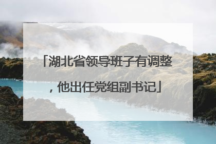 湖北省领导班子有调整，他出任党组副书记