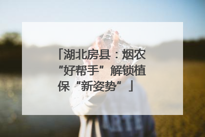 湖北房县：烟农“好帮手”解锁植保“新姿势”