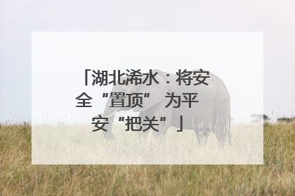 湖北浠水：将安全“置顶” 为平安“把关”