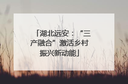 湖北远安：“三产融合”激活乡村振兴新动能