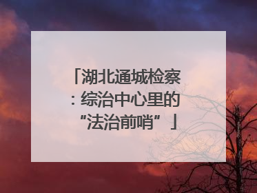 湖北通城检察：综治中心里的“法治前哨”