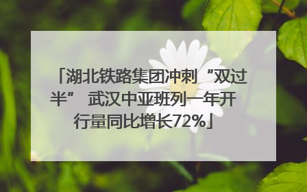 湖北铁路集团冲刺“双过半” 武汉中亚班列一年开行量同比增长72%