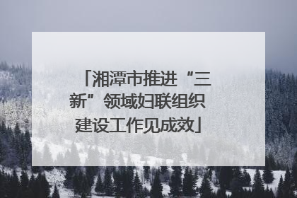湘潭市推进“三新”领域妇联组织建设工作见成效