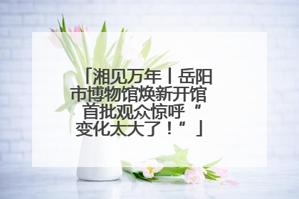 湘见万年丨岳阳市博物馆焕新开馆 首批观众惊呼“变化太大了！”