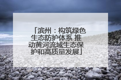 滨州：构筑绿色生态防护体系 推动黄河流域生态保护和高质量发展
