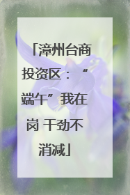 漳州台商投资区：“端午”我在岗 干劲不消减