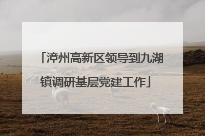 漳州高新区领导到九湖镇调研基层党建工作