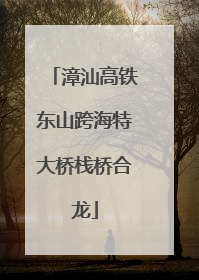 漳汕高铁东山跨海特大桥栈桥合龙
