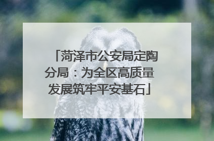 菏泽市公安局定陶分局：为全区高质量发展筑牢平安基石