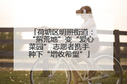 荷塘区明照街道：“撂荒地”变“爱心菜园” 志愿者携手种下“增收希望”