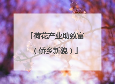 荷花产业助致富（侨乡新貌）