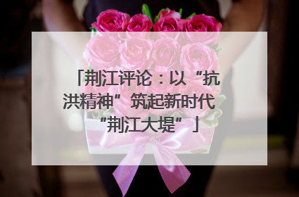 荆江评论：以“抗洪精神”筑起新时代“荆江大堤”