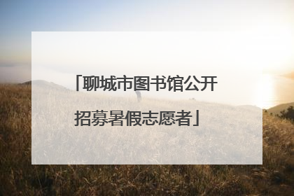 聊城市图书馆公开招募暑假志愿者