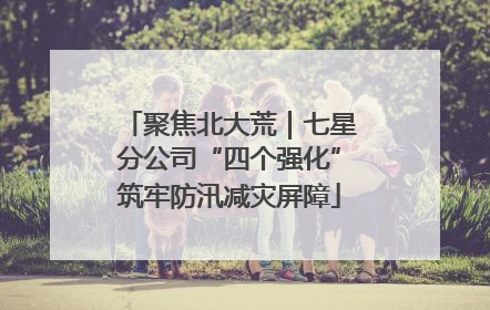 聚焦北大荒｜七星分公司“四个强化”筑牢防汛减灾屏障