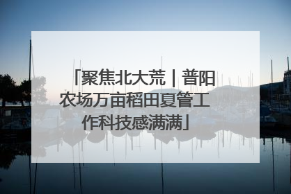 聚焦北大荒｜普阳农场万亩稻田夏管工作科技感满满