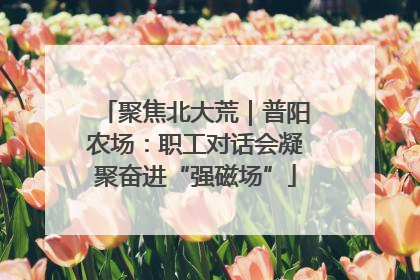 聚焦北大荒｜普阳农场：职工对话会凝聚奋进“强磁场”