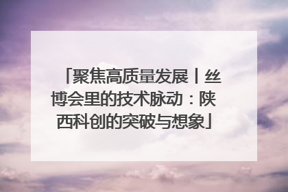 聚焦高质量发展丨丝博会里的技术脉动：陕西科创的突破与想象