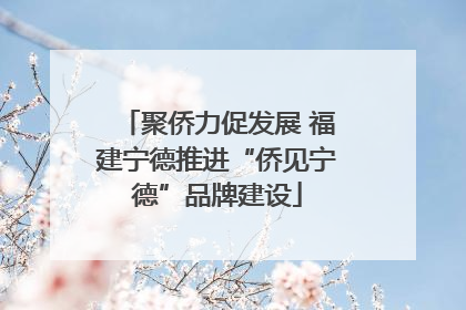 聚侨力促发展 福建宁德推进“侨见宁德”品牌建设