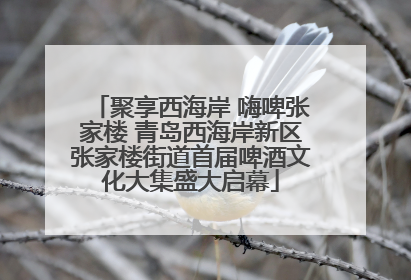 聚享西海岸 嗨啤张家楼 青岛西海岸新区张家楼街道首届啤酒文化大集盛大启幕