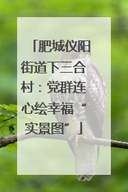 肥城仪阳街道下三合村：党群连心绘幸福“实景图”