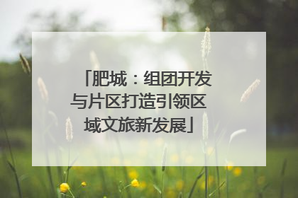 肥城：组团开发与片区打造引领区域文旅新发展