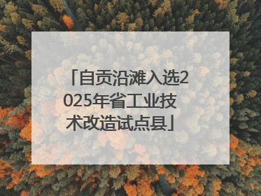 自贡沿滩入选2025年省工业技术改造试点县