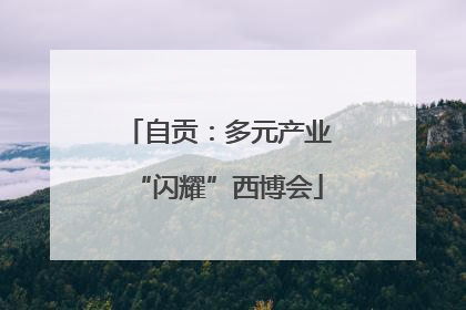 自贡：多元产业“闪耀”西博会