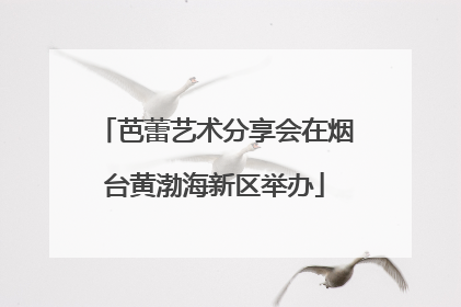 芭蕾艺术分享会在烟台黄渤海新区举办