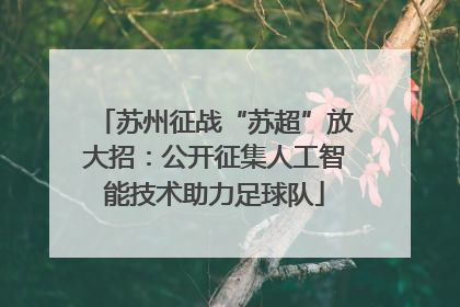 苏州征战“苏超”放大招：公开征集人工智能技术助力足球队
