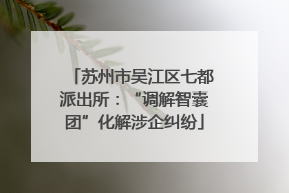 苏州市吴江区七都派出所：“调解智囊团”化解涉企纠纷