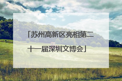 苏州高新区亮相第二十一届深圳文博会